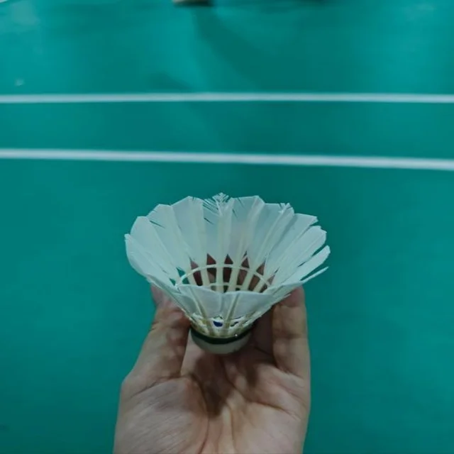 张之臻晋级马德里赛场再创佳绩